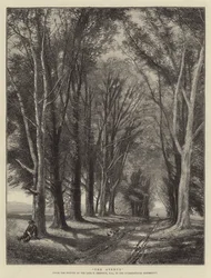 Il Viale